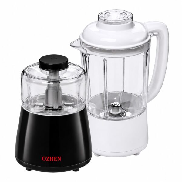 مخلوط کن 2 کاره با آسیاب DPA1 اوژن